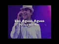 Los Aguas Aguas - Caminando [Cover Ganja] (Live Polé Polé Festival)
