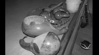 thabo seremi lenyalo la setso