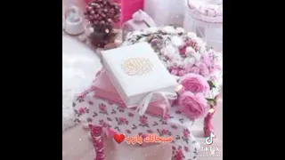 انت العالم بالحال حاله واتساب 