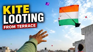 Kite Looting From Terrace 😱। Kite looting।kite fighting। Kite Catching 