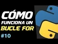 How the For Loop Works in Python Basic Python Course