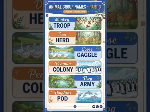Animal Group names part 03 || English VOCABULARY|| static GK| #staticgk #gkgs #english #englishvocab
