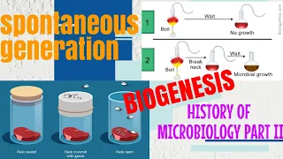 SPONTANEOUS GENERATION  IN DETAIL  WITH NOTES |BIOGENESIS|EXPLAIN IN ( HINDI)