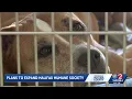New Daytona Beach vet clinic to provide free and low-cost care for pet owners