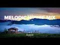 Melodic House Mix 2024 - Vol 10 :  Sunset Chill Progressive | Ben Böhmer, Sultan + Shepard, Deadmau5