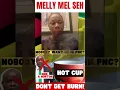 Lagu HOT CUP_ MELLY MEL _ NO BODY WANT HON A  NORTON IN THE PARTY?