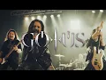Gotus - \
