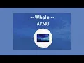 Whale - AKMU - [Han/Rom/Eng]
