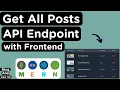 Get all Posts API Endpoint with Frontend Integration - Complete Process