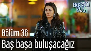 erkenci ku 36 b l m ba ba a bulu aca z