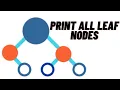 Print Leaf Nodes of Binary Tree Tree Data Structure Recursive Approach