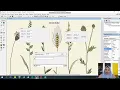 TUTORIAL PEMBUATAN APLIKASI DATA BUKU Pemrograman visual basic