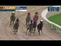 Oaklawn Park March 7 2026 The 40th Running of AZERI STAKES