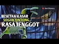 Download Lagu KOLIBRI SOGON ISIAN CUCAK JENGGOT FULL BESETAN