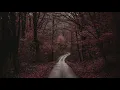 Samira Said - Al Gani (Egyptian Arabic) Lyrics + Translation - سميرة سعيد - قال جاني