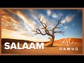 Download Lagu Ali Dawud - Salaam (Official Video)