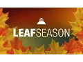 Leaf Collection 2016