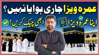 How to Check Umrah Visa Status Online Umrah Visa Issued or Not Saudi Umrah Visa Check 2026