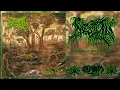 Download Lagu Septizin - Secrets of the Body Farm [Debut Album] (Pathological Goregrind)