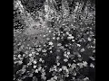 Library Tapes  -  alone in the bright lights of a shattered life