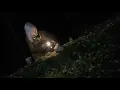 Download Lagu Rioghan - Hollowness (Official Music Video)