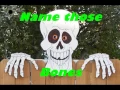 name those bones