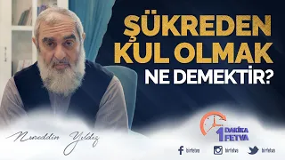 Şükreden kul olmak ne demektir?