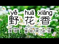 Download Lagu Chinese - 中国語歌ピンイン付き《野花香》learn Chinese with pop song 听歌学中文44欢快歌曲《野花香》DJ