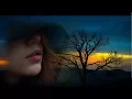 Download Lagu Tình Đã Vụt Bay - Vũ Tuấn Đức - Tuấn Ngọc