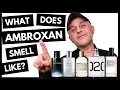 What Does Ambroxan Smell Like What Is Ambroxan 5 Popular Favorite Ambroxan Fragrances