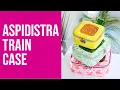 Aspidistra Train Case Trailer