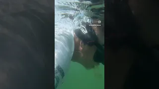 Adventures #26 – 28 of 57 – Snorkeling with Leopard Sharks, swimming La Jolla Cove & body surfing ￼