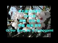 また逢う日まで　尾崎紀世彦　＊カバー曲＊　S Tamogami
