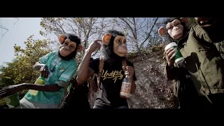 Ralfy The Plug x Kellz x Drakeo The Ruler - Chunky Monkey Shot By VOICE2HARD