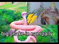 Download Lagu nampally gutta, sri laxmi narasimha swamy temple, vemulawada, karimnagar, telangana, day outing