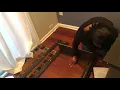 DIY Bookcase Bar feat. IKEA Laiva