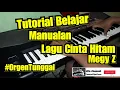 Lagu Tutorial Belajar Manualan Orgen Tunggal lagu \