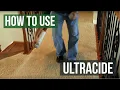How To Get Rid of Fleas with Ultracide