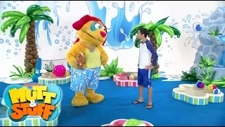 Mutt Stuff - Pool Time