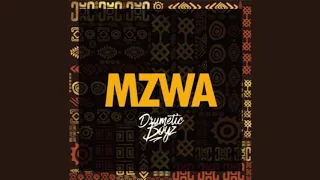 drumeticboyz mzwa