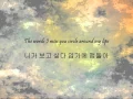 Kim Hyun Joong - 내 머리가 나빠서 (Because I'm Stupid) [Han \u0026 Eng]