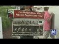 Animal advocates protest Springfield pet store