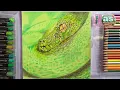 Green tree python drawing Snake eyes drawing How to draw python eye with colour pencils