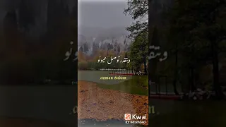 الحياة بنعيشها مرة 