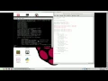 RaspberryPi LED play RPi1 and RPi2 Python vs C episode 8