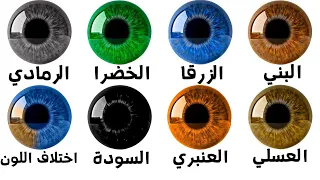                                                                                        دندنها