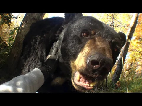 Video Thumbnail: Joji - Past Won't Leave My Bed (Official Video)