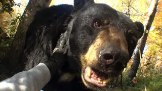 Joji Past Won T Leave My Bed Official Video 