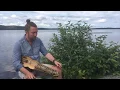 Download Lagu Nyckelharpa. Volgsjön, Vilhelmina