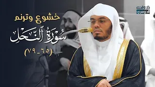 خشوع وترنم عجيب في هذه التلاوة من سورة النحل د ياسر الدوسري فجر الثلاثاء 5 8 1446هـ 